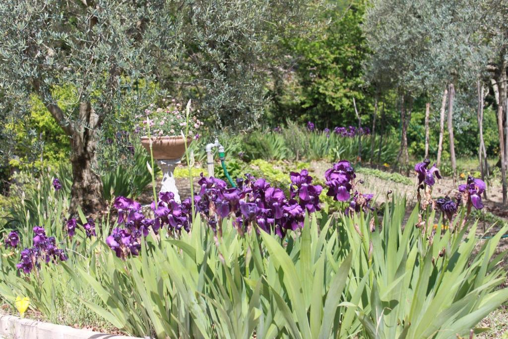 Amour Provence Séguret 외부 사진